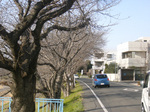 トンネル.jpg