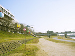 散歩コース.jpg