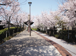 新保緑道公園2.jpg