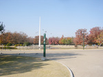 池.jpg